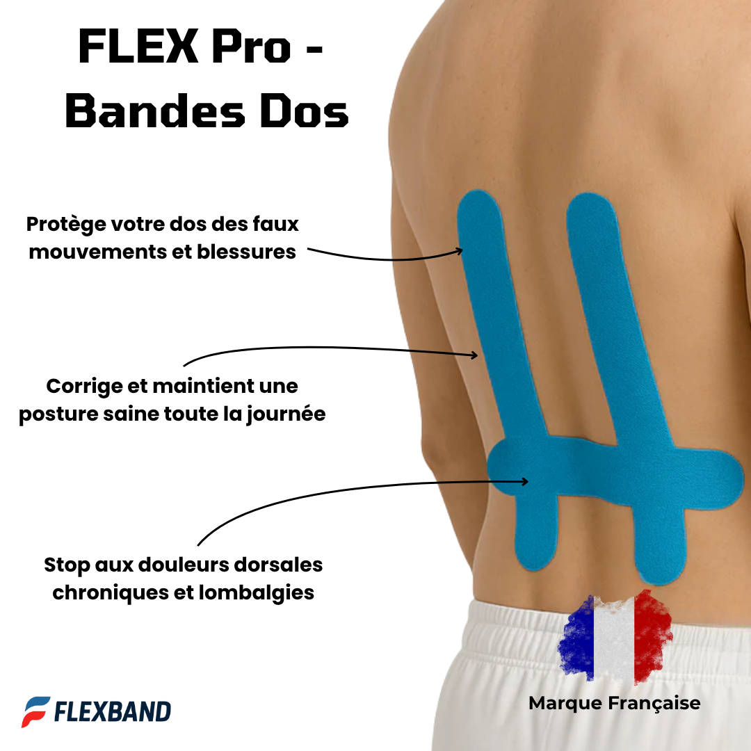 FLEX Pro - Bandes pour le dos - FLEXBAND