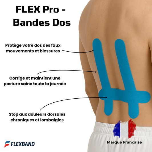 FLEX Pro - Bandes pour le dos - FLEXBAND